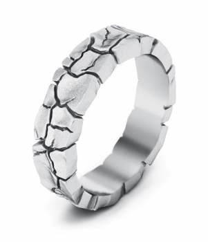 Тематическое кольцо "Земля" (Мод. 519)